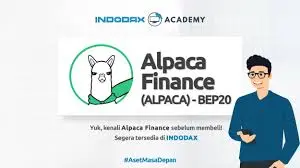 Alpaca Finance